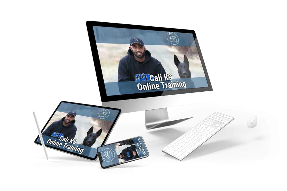 ONLINE TRAINING OPTIONS — Cali K9